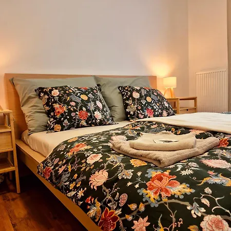 Center - Měšťanský Dům Minoritská Apartamento Brno