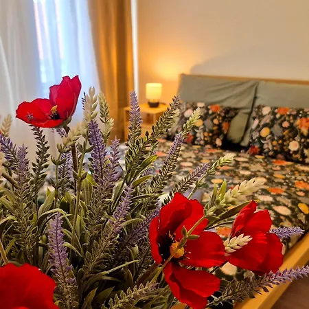 Center - Mestansky Dum Minoritska Apartman *