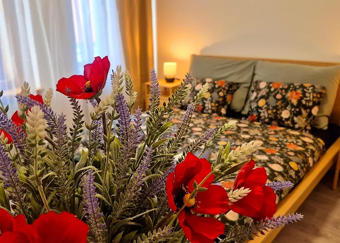 Center - Mestansky Dum Minoritska Apartman *